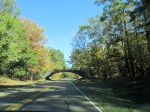 Natchez Trace